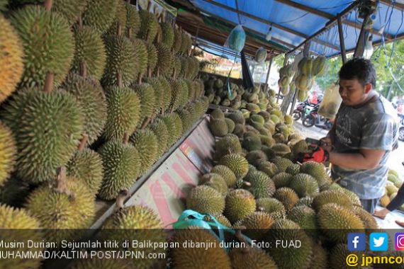 Silakan Nikmati, Percayalah Semua Ini Durian Jatuh, Haahaa.. - JPNN.COM
