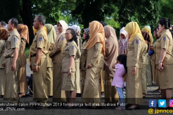 Dua Daerah Ini Cuma Dapat Kuota PPPK 209 Orang, Ratusan Honorer Gigit Jari - JPNN.COM