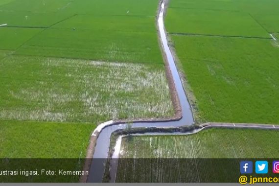 2019, Kementan Rehabilitasi 67 Ribu Hektare Irigasi Tersier - JPNN.COM