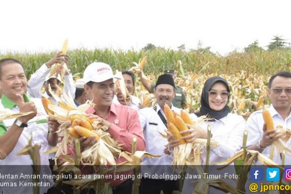 Petani Mulai Panen Jagung, Mentan: Pemerintah Siap Serap - JPNN.COM