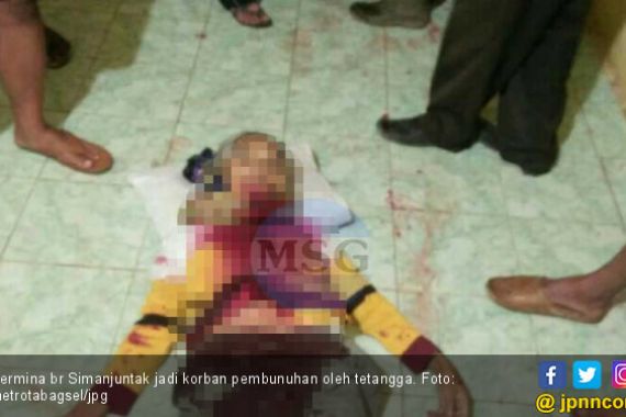 Pembunuhan Sekeluarga di Taput, Nenek Tewas, 3 Cucu Ditusuk - JPNN.COM