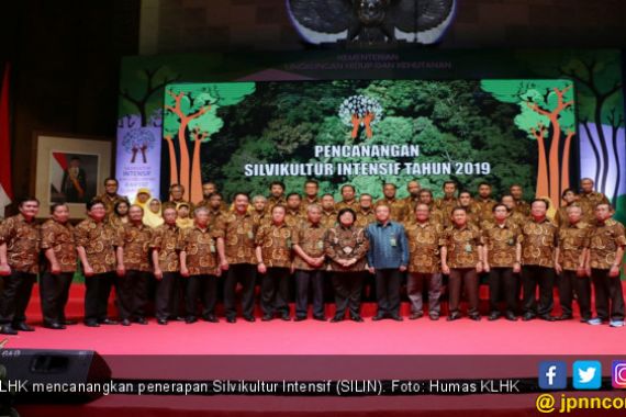 Kebangkitan Industri Perkayuan Nasional Lewat Silin - JPNN.COM