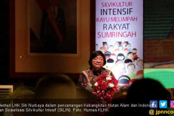 Tingkatkan Pemanfaatan Kayu Hutan Alam, KLHK Terapkan Sistem Silin - JPNN.COM