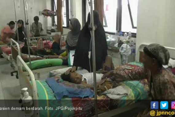 63 Anak Terserang Demam Berdarah, Dua Meninggal - JPNN.COM