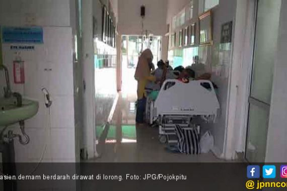 Pasien Demam Berdarah Membeludak, Sebagian Dirawat di Lorong RS - JPNN.COM