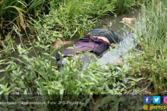 Jenazah Misterius Ditemukan di Tengah Sawah, Siapa Dia? - JPNN.COM