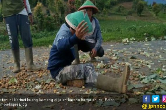 Viral, Petani di Kerinci Buang Kentang dan Sayur Kol ke Jalan - JPNN.COM