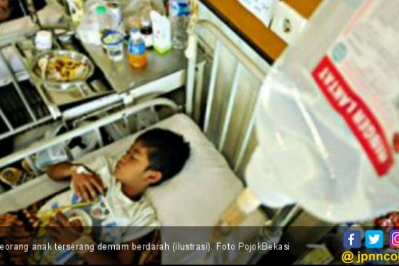 Bukan Hanya Virus Corona, Indonesia juga Dihantui Wabah Demam Berdarah - JPNN.COM