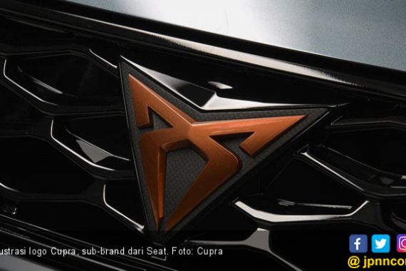 SUV Coupe Terramar Bawa Peran Penting di Cupra - JPNN.COM