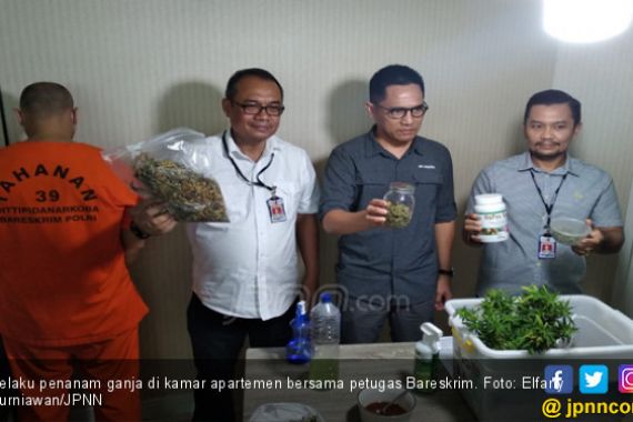 Bareskrim Geruduk Kamar Apartemen yang Dijadikan Kebun Ganja - JPNN.COM