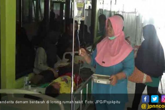 Status KLB Demam Berdarah Diperpanjang - JPNN.COM
