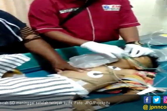 Polisi Belum Rampungkan Kasus Anak yang Tewas di Pacuan Kuda - JPNN.COM