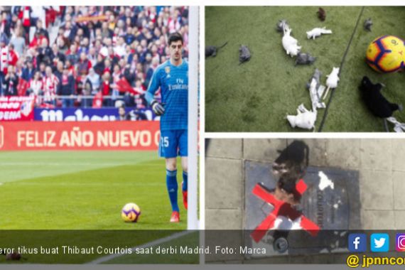 Thibaut Courtois jadi Korban Teror Tikus saat Derbi Madrid - JPNN.COM