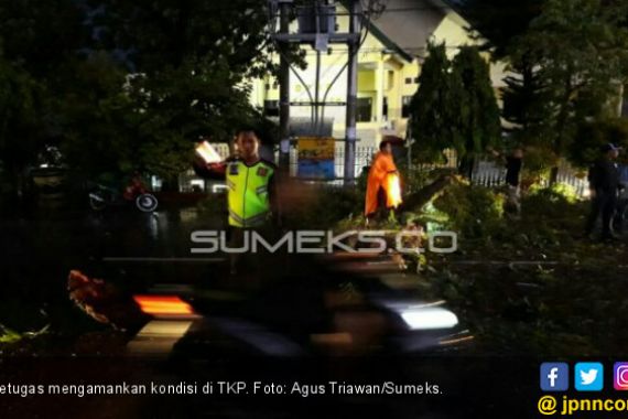 Seorang Pengendara Motor Tertimpa Pohon Tumbang di Lahat - JPNN.COM