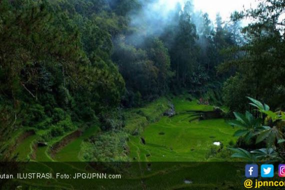 KLHK Salurkan Pinjaman Rp 27,9 Miliar ke Petani Hutan - JPNN.COM