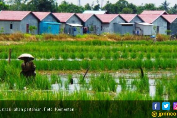 Kementan Dorong Pemda Keluarkan Regulasi Perlindungan Lahan Pertanian - JPNN.COM