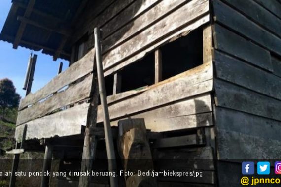 Konflik Manusia dengan Satwa Liar Masih Berlanjut di Kerinci - JPNN.COM