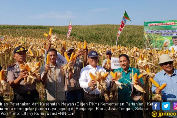 Kementan Siap Memfasilitasi Kerja Sama Petani dan Peternak Ayam - JPNN.COM