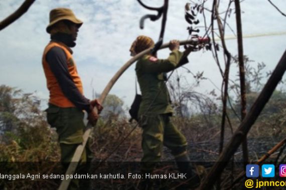 Manggala Agni KLHK dan Tim Gabungan Padamkan Karhutla di Sumatera dan Riau - JPNN.COM