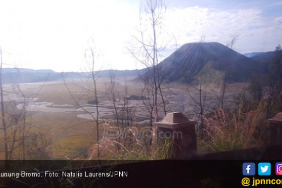 Gunung Bromo Erupsi, Warga Dilarang Beraktivitas di Radius 1 Km dari Puncak - JPNN.COM