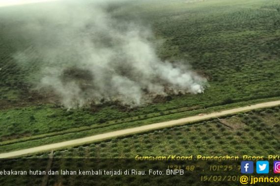 53 Hektare Lahan di Rohil dan Pelalawan Hangus Terbakar - JPNN.COM