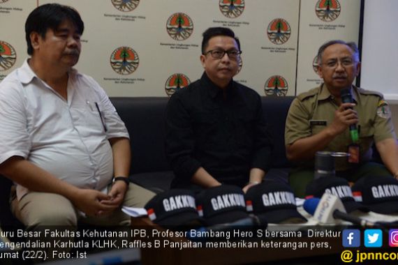 Guru Besar IPB: Jangan Politisasi Status Siaga Karhutla di Riau - JPNN.COM