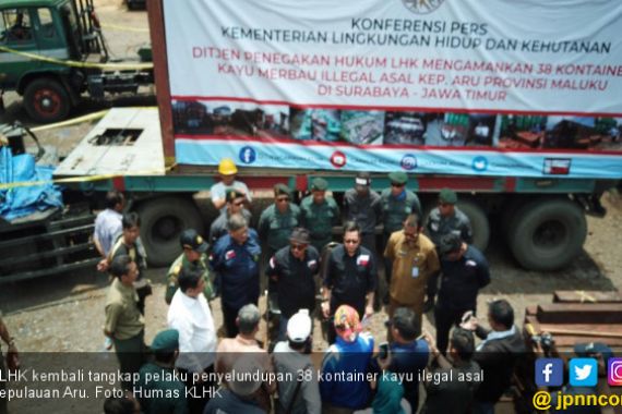 KLHK Tangkap Selundupan 38 Kontainer Kayu Ilegal dari Kepulauan Aru   - JPNN.COM