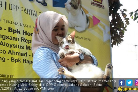 Meong! Bandi jadi Pemenang Lomba Kucing Mirip Milik Prabowo - JPNN.COM