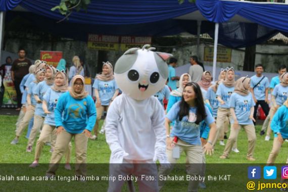 Lomba Mirip Bobby Si Kucing Milik Prabowo Berlangsung Seru - JPNN.COM