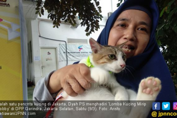 Sahabat Bobby Gelar Lomba Kucing Mirip Milik Prabowo - JPNN.COM