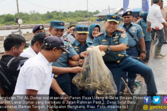 Lanal Dumai Gelar Panen Raya Udang di Desa Binaan Selat Baru - JPNN.COM