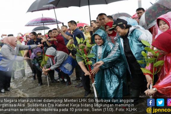 Iriana Jokowi Pimpin Penanaman Mangrove di 10 Provinsi - JPNN.COM