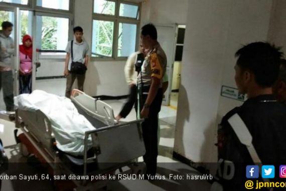 Pensiunan Guru Tewas Tertimpa Pohon Tumbang di Bengkulu - JPNN.COM