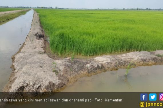 Kementan Optimistis Program Serasi di Kalimantan Selatan Sesuai Harapan - JPNN.COM