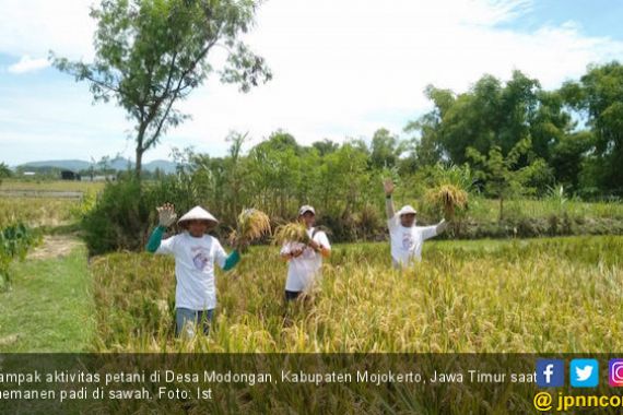 Petani Tolak Politisasi Sektor Pangan - JPNN.COM