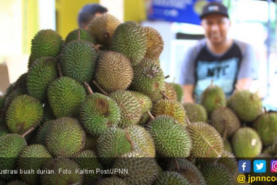 Petani Durian Nyaris Bangkrut Gegara Corona, Untung Ada China - JPNN.COM