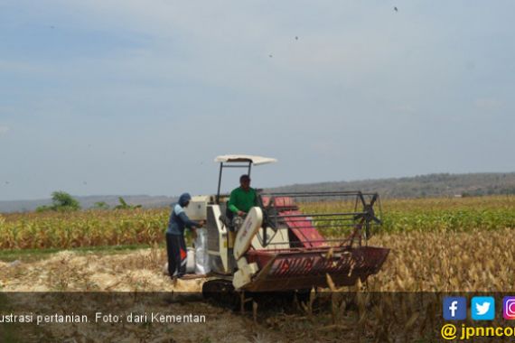 Kementan Imbau Petani Aceh Utara Manfaatkan Asuransi Pertanian - JPNN.COM