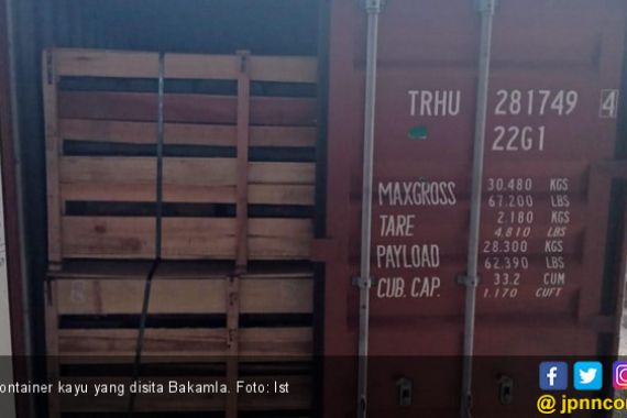 Bakamla Diminta Serahkan Dua Kontainer Kayu Eboni dari Palu - JPNN.COM