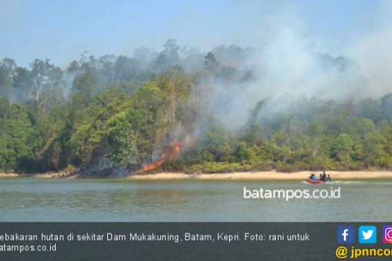 Hutan Lindung Duriangkang Dibakar, Pelaku Diduga Pembalak Liar - JPNN.COM