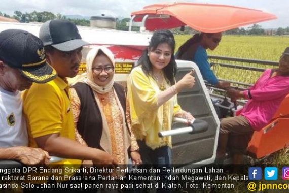 Padi Sehat ala Klaten Layak Dicontoh Daerah Lain - JPNN.COM
