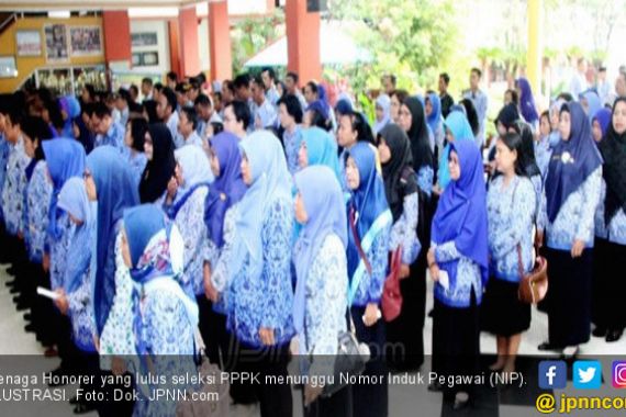 Surat Terbuka untuk Jokowi tentang PPPK Jalur Honorer K2 - JPNN.COM