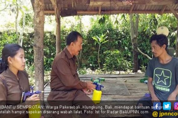 Ribuan Lalat Serbu Puluhan Rumah Warga Paksebali Klungkung - JPNN.COM