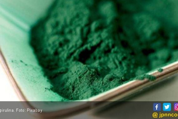 Pengguna Spirulina Perlu Baca Informasi Ini - JPNN.COM