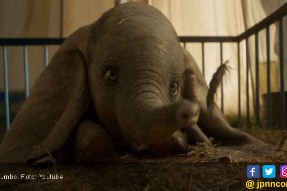 Dumbo, si Gajah Kecil yang Bisa Terbang - JPNN.COM