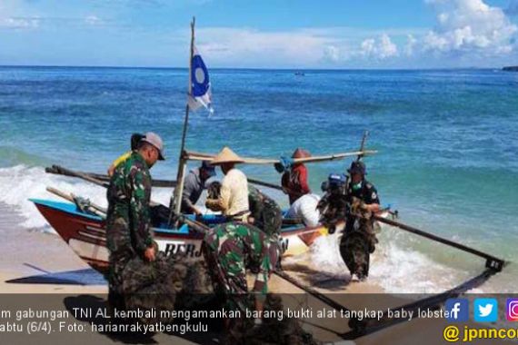 TNI AL Kembali Sita 1.441 Alat Tangkap Baby Lobster di Bengkulu - JPNN.COM