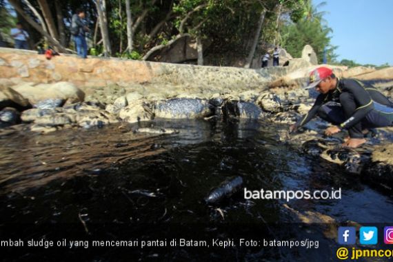 DLH Angkut 195 Karung Limbah Minyak yang Mencemari Laut Batam - JPNN.COM