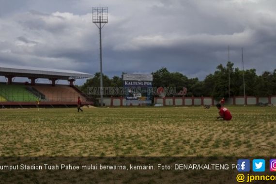 Suporter Sangat Merindukan Laga Kandang Kalteng Putra - JPNN.COM