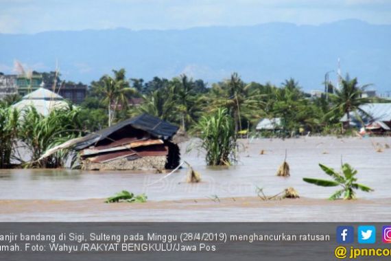 Penebangan Liar Penyebab Banjir Bandang di Sulteng - JPNN.COM