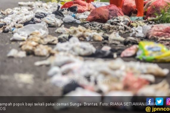 Sampah Popok Cemari Sungai Brantas, Ikan jadi Berkelamin Ganda - JPNN.COM
