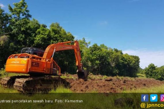 Kementan Target Cetak Sawah Baru 6.000 Hektare Tahun Ini - JPNN.COM